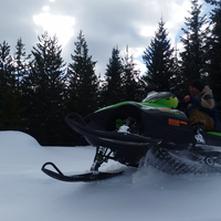 SurfingKangarooHAHA的照片