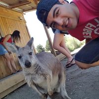 Fotos von Kourosh Saffar