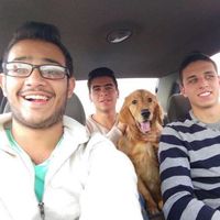 Mohamed Medhat's Photo