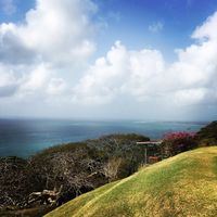 John Hutchins's Photo