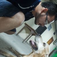 Pedro Vallejo的照片