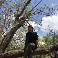Bahar Sohaleh的照片