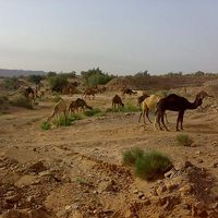 Anwar Rouzen的照片