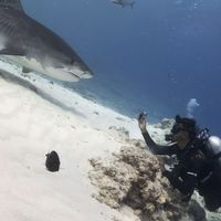 Ashhal Abdulla's Photo