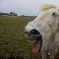 EMELINE KWIATKOWSKI的照片