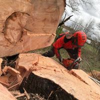 Thomas Gnann's Photo