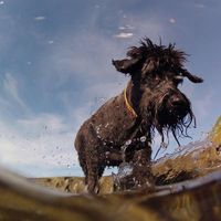 Mary Sparks的照片