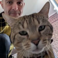 Fotos de Thor Marteau