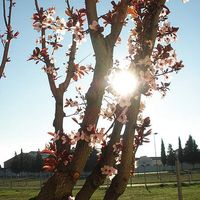 Photos de Mary Nieves Sanchez Ubeda