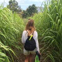 Maelle Le Gal的照片