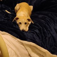 Erin Campbell的照片