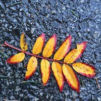 Buissart Melvin的照片