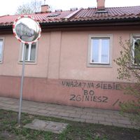 Le foto di Ivo Synger