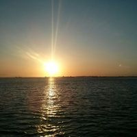 Le foto di Jean Sale