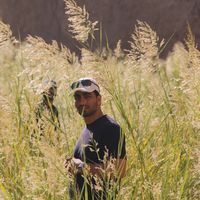 Fotos de Saeed Mohseni