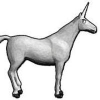 Damien Borie的照片