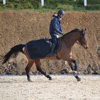 Simon Semaan's Photo