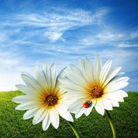 Robelitza Pérez的照片