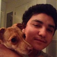 Fotos von Christian Saravium