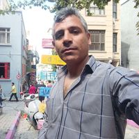 Photos de Babak Rose