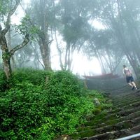 Alice Schincaglia's Photo