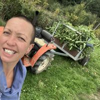 Fotos de Noemi Nguyen