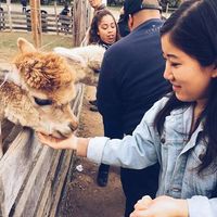 Photos de Elise Dong