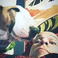 Photos de Sebastián Pérez