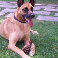 Maria Swardt的照片