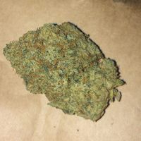 Morrison James's Photo