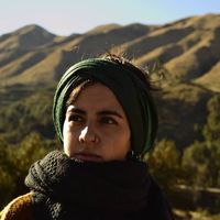 Fotos de Diana Almeida