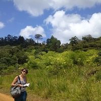 Le foto di Sylvie Nadin