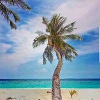 sabba travel maldives的照片