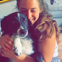 Sage Pollack的照片