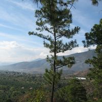 Isabel Gularte's Photo