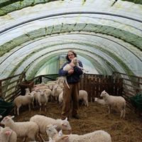 Samuel Carriço的照片