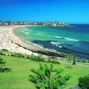 Foto de Beach hangout! (Bondi or Manly)