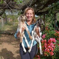 Holly Hunter's Photo