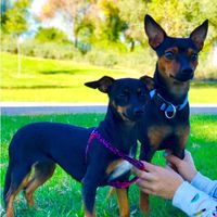 CELIA VALLEJO MIJES's Photo