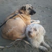 marta catani的照片