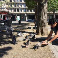 Fotos de ISHAAN JAIN