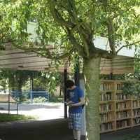 Michael Parker's Photo