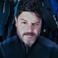 fernando g sousa的照片