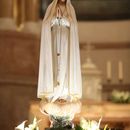 Praying for a terror victim 🛐⛪🕍's picture