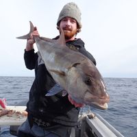 Mitch Daubney的照片