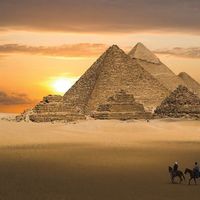 mahmoud ahmed's Photo