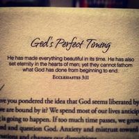 Carellyn Tow's Photo