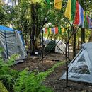 Foto de Hornbill Camping 2024 🏕️