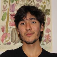 Santiago Castillo's Photo