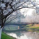 China’s Top Uni Picnic&Cheap Canteen Crash's picture